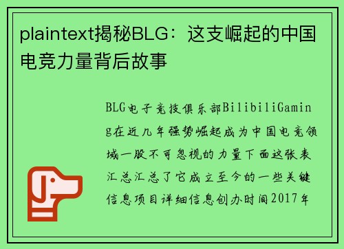 plaintext揭秘BLG：这支崛起的中国电竞力量背后故事