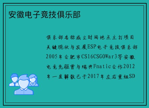 安徽电子竞技俱乐部